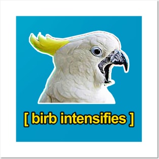 Birb Intensifies - Meme Humor Design Posters and Art